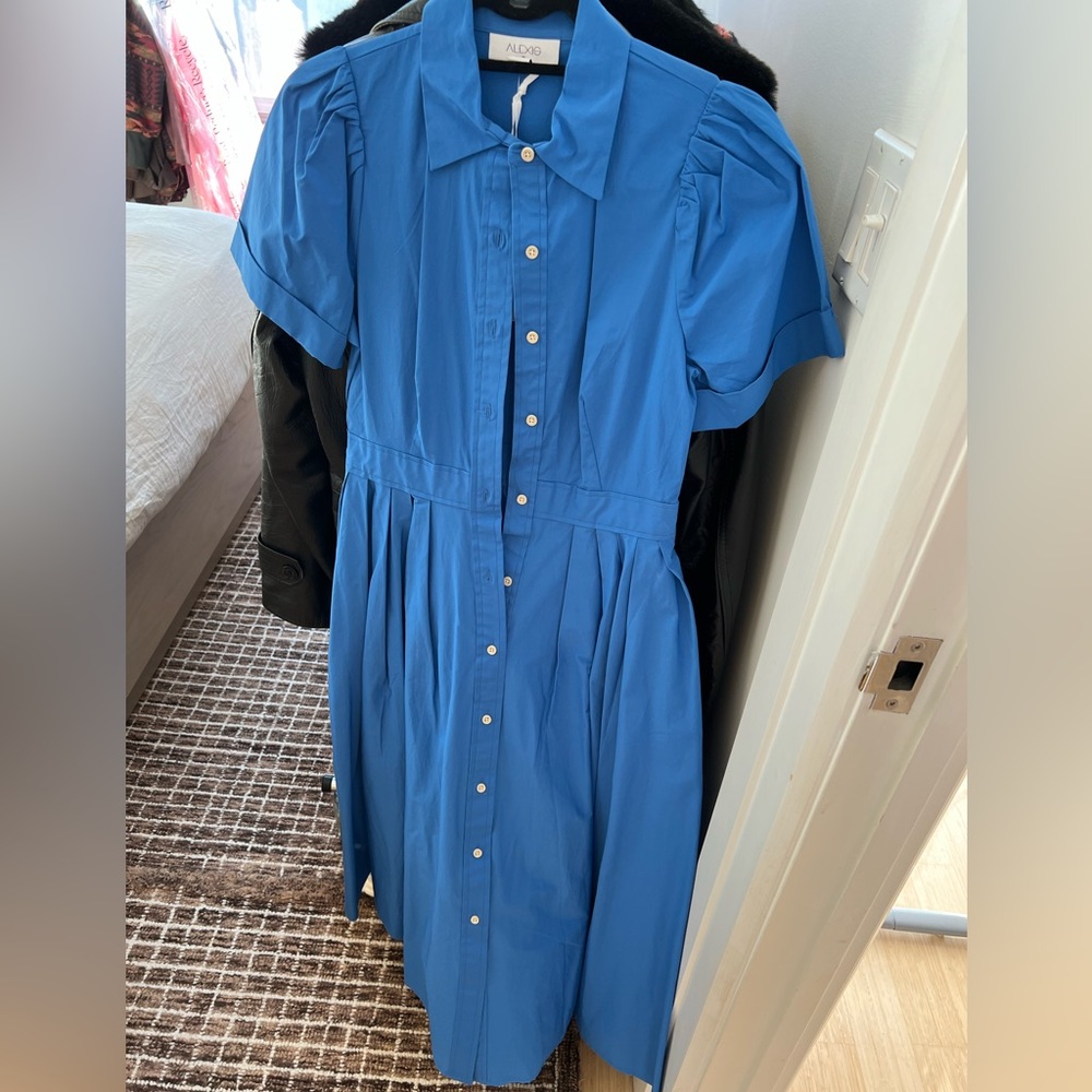 Alexis for Target Button-Up Dress